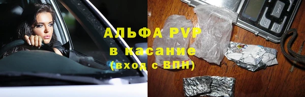PSILOCYBIN Алексеевка