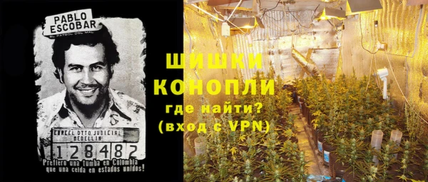 PSILOCYBIN Алексеевка