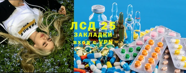 PSILOCYBIN Алексеевка