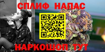 сатива Ливны
