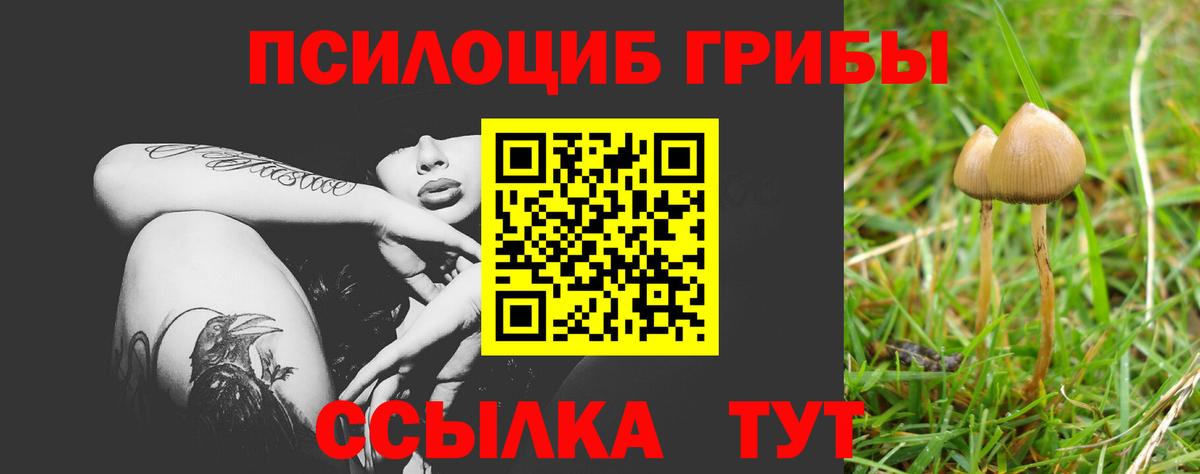 Псилоцибиновые грибы MAGIC MUSHROOMS  Псилоцибиновые грибы Magic Shrooms  Вход с VPN  Подольск 